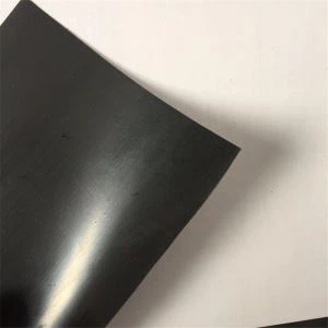 HDPE drenaj Geomembrane