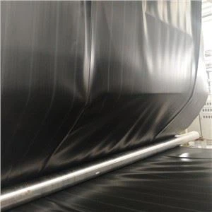 Pwason Safe HDPE jeomembrane Pond revètman